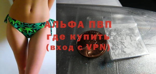 гашик Губаха