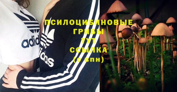 гашиш Горняк