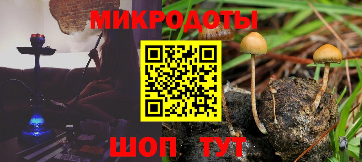 Дальнегорск  Псилоцибиновые грибы GOLDEN TEACHER  Вход с VPN 